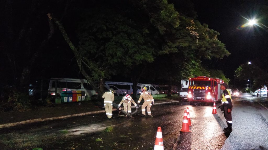Galho de árvore cai e interdita a pista ao lado da prefeitura