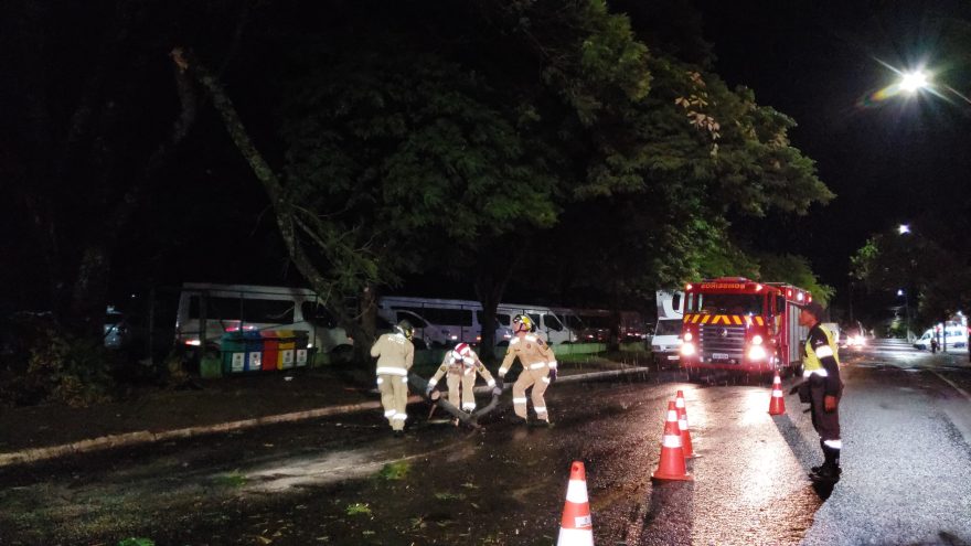 Galho de árvore cai e interdita a pista ao lado da prefeitura