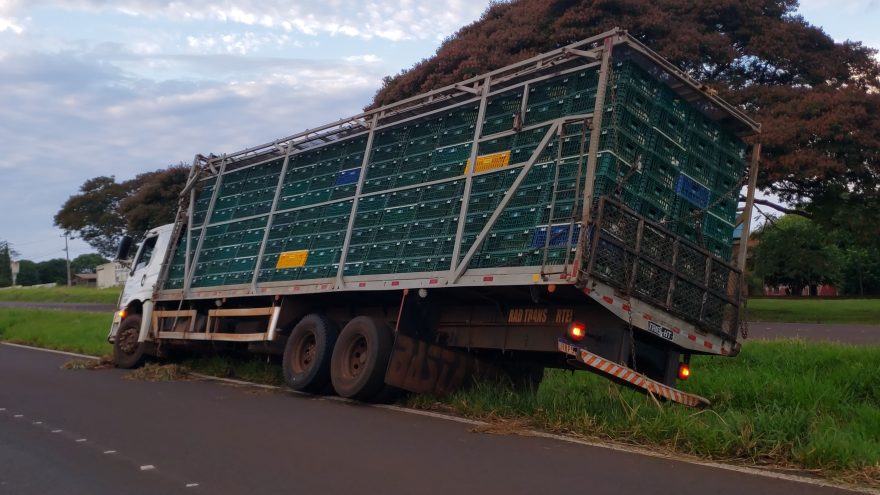 Caminhão carregado com frango sai da pista, atravessa canteiro e quase tomba na BR-467