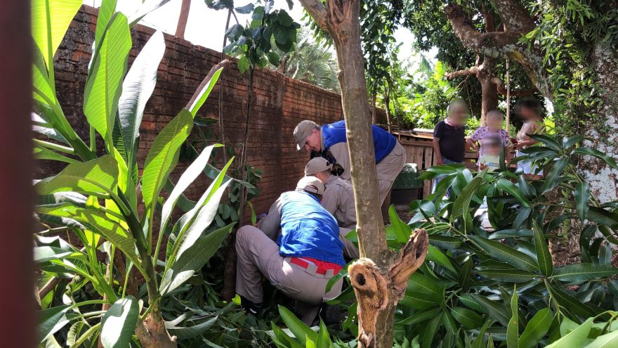 Homem sofre queda de árvore e é socorrido pelo Corpo de Bombeiros