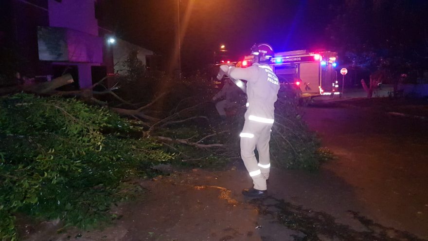 Árvore cai em cima de fusca no Brasília; Bombeiros foram acionados