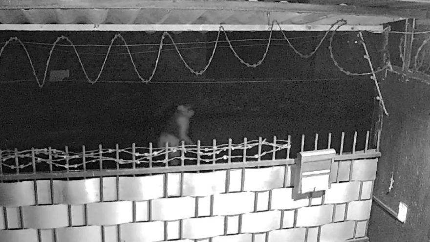 Câmera de segurança registra momento de briga que terminou com casal com queimaduras graves