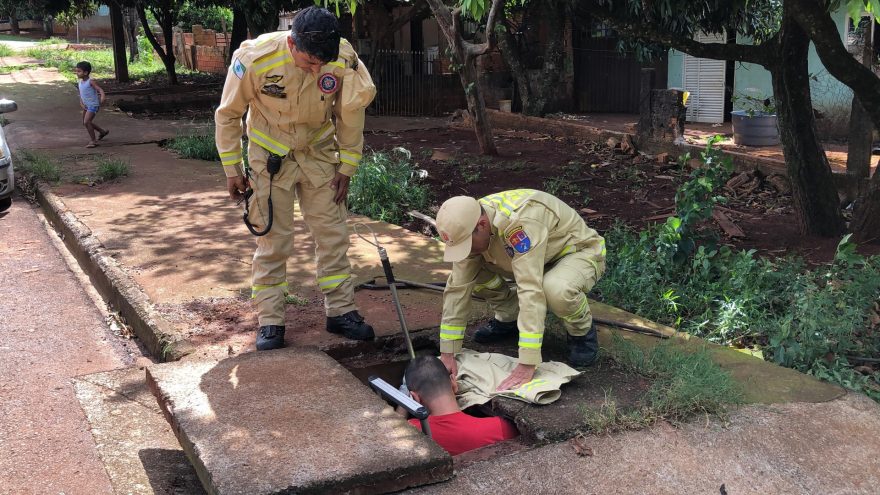 Cachorrinho que ficou preso em bueiro é salvo pelo Corpo de Bombeiros
