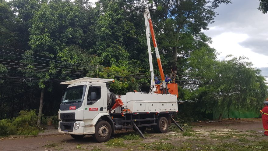 Equipe é mobilizada para corte de galhos de árvore no Centro