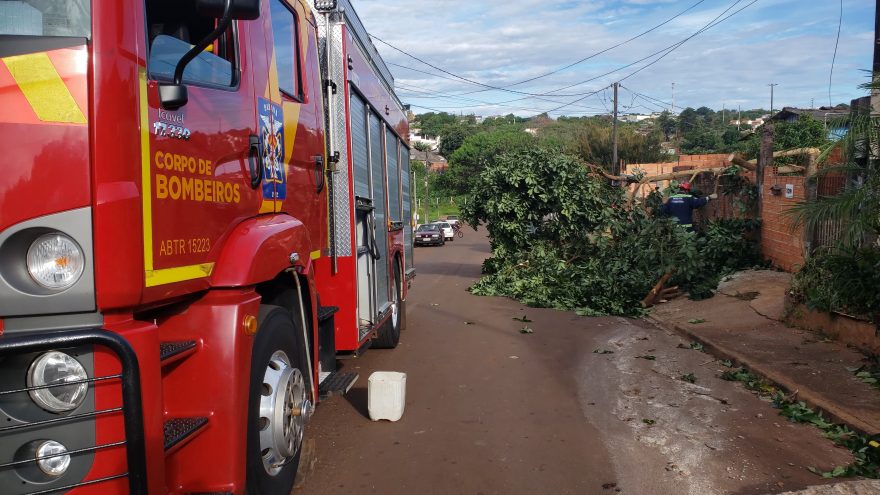 Vento forte derruba árvore em cima de muro de residência no bairro Interlagos