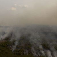 PL que muda Código Florestal vai desproteger 48 milhões de hectares Imagem referente a PL que muda Código Florestal vai desproteger 48 milhões de hectares