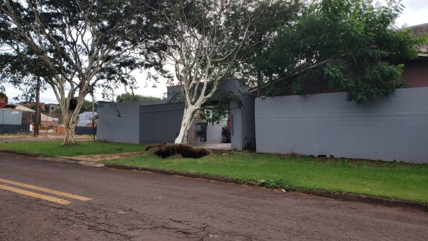 Árvore cai em cima de garagem de residência no São Cristóvão