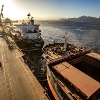 Imagem referente a Com 5,3 milhões de toneladas, portos registram novo recorde de movimentação em fevereiro