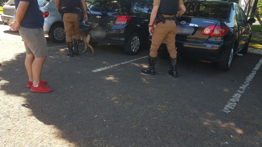 Cães farejadores auxiliam em Operação da PRE: Rodoviária é vasculhada pelas equipes