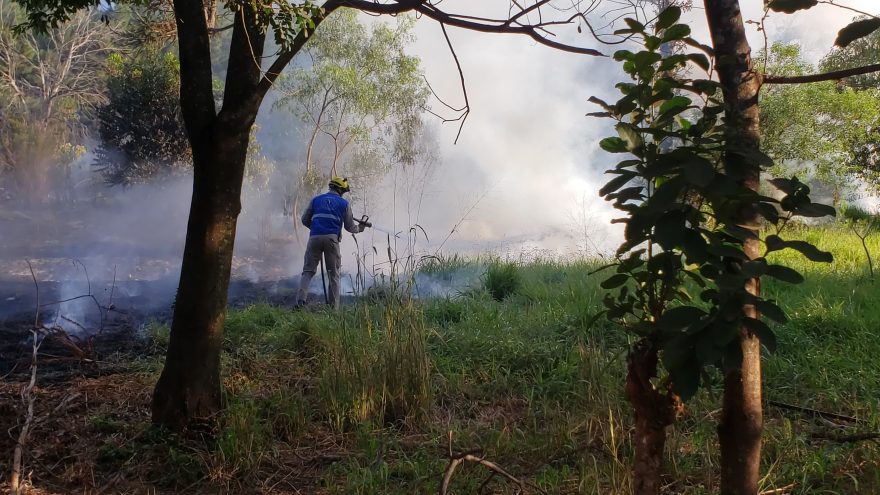 Incêndio em grande proporção atinge área de vegetação no Lago Azul