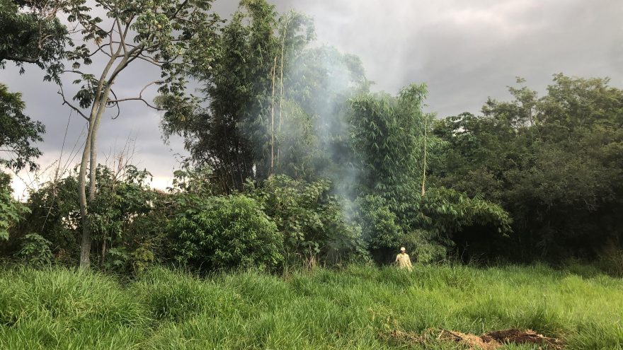 Incêndio atinge vegetação e lixo em terreno no Santa Cruz