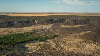 Governo monta força-tarefa para conter desmatamento no Cerrado