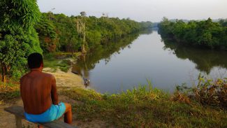 Justiça determina saída de invasores de terra indígena no Pará