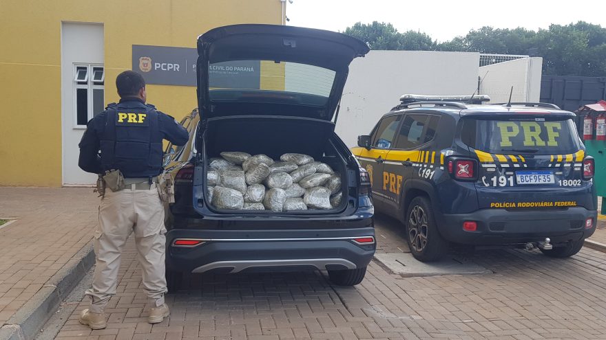 PRF realiza grande apreensão de murruga na BR-277