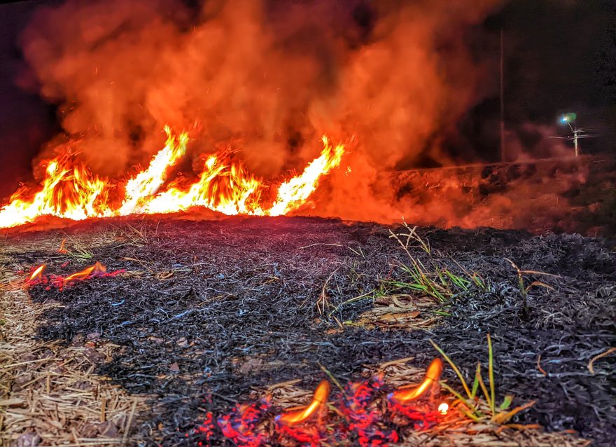 Inferno na BR-163: incêndio toma conta da marginal em Sede Alvorada