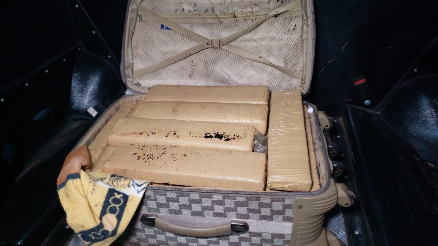 Café, naftalina e maconha: a receita de um jovem para tentar enganar a polícia