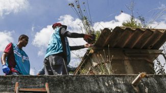 Sete estados e o DF têm tendência de queda nos casos de dengue