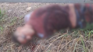 Jovem é executado e tem corpo desovado na BR-277
