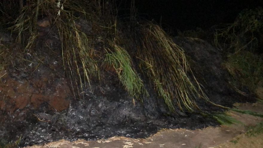 Incêndio em vegetação mobiliza Bombeiros no Canadá