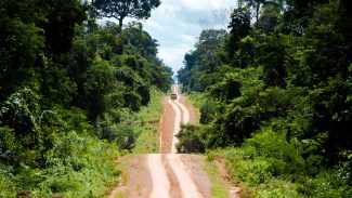 Amazônia: degradação afeta área três vezes maior que desmatamento