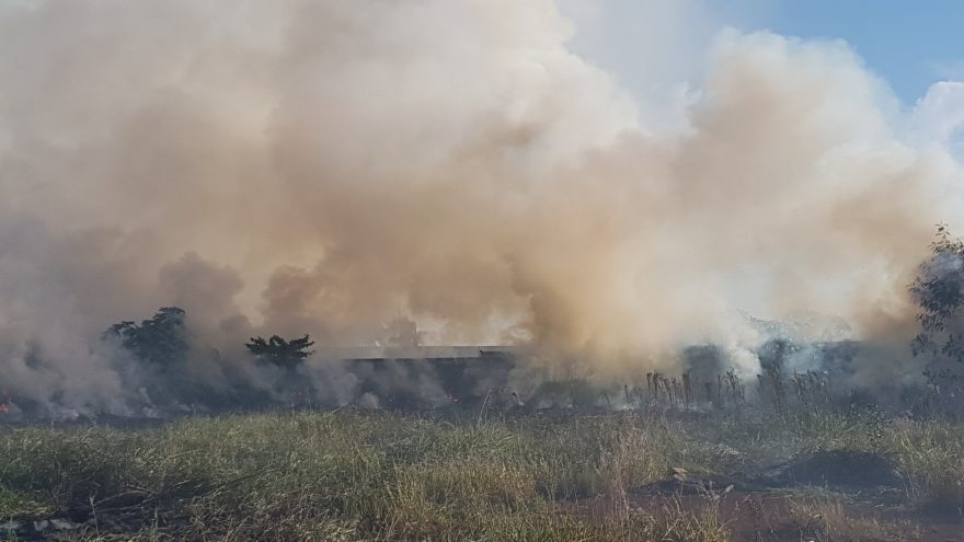 Corpo de Bombeiros combate incêndio em vegetação no Santos Dumont