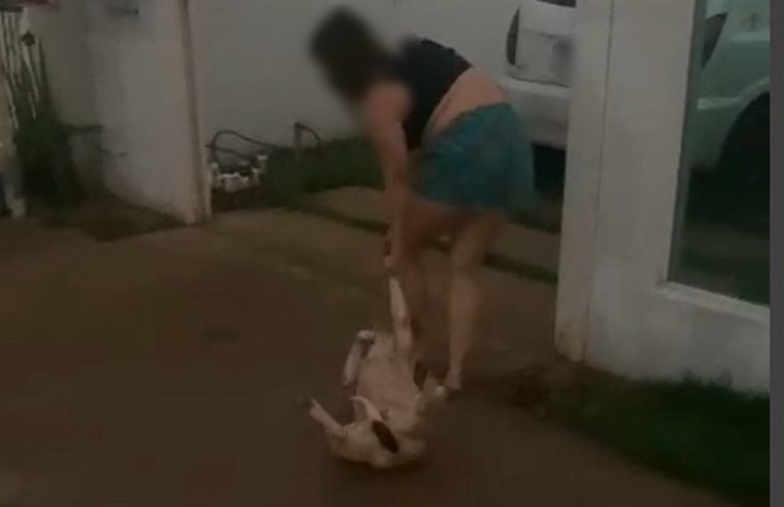 Internauta flagra mulher arrastando cachorra no Florais do Paraná