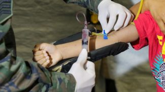 Dengue: 21 estados e o DF têm queda ou estabilidade no número de casos