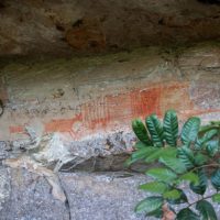 Imagem referente a Cervos, araucárias e humanos: a pré-história do Paraná está nas paredes de Piraí do Sul