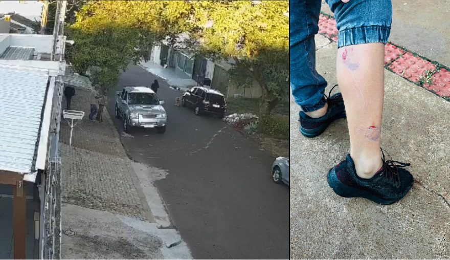Vídeo mostra estudante sendo atacado por cachorro no Bairro Novo Milênio