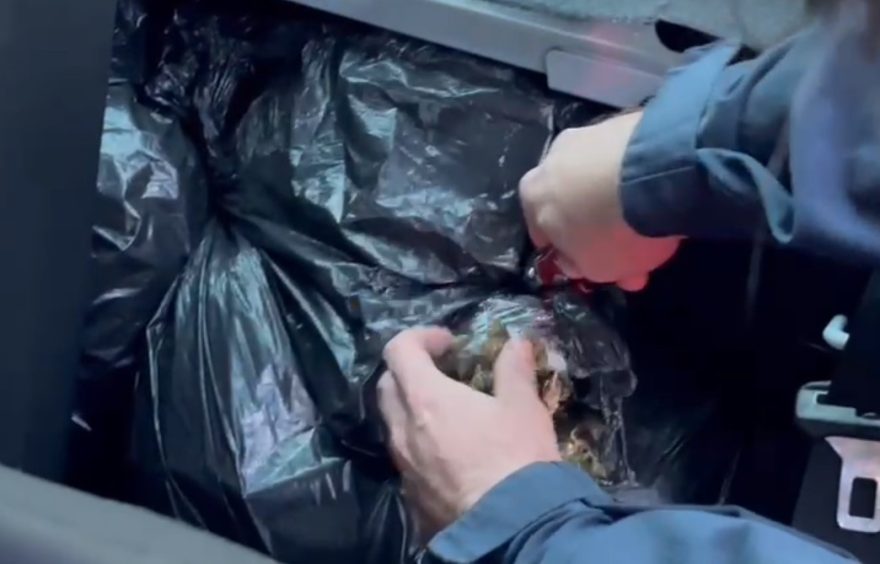 PRF apreende 80 kg de Skunk em veículo envolvido em acidente de trânsito