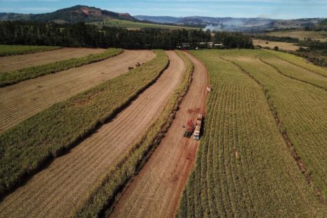 Paraná vai produzir 1,25 bilhão de litros de etanol na atual safra, aponta boletim