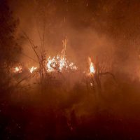 Imagem referente a Período mais seco: IAT faz alerta sobre incêndios nas Unidades de Conservação do Paraná