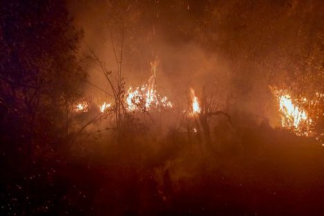 Período mais seco: IAT faz alerta sobre incêndios nas Unidades de Conservação do Paraná