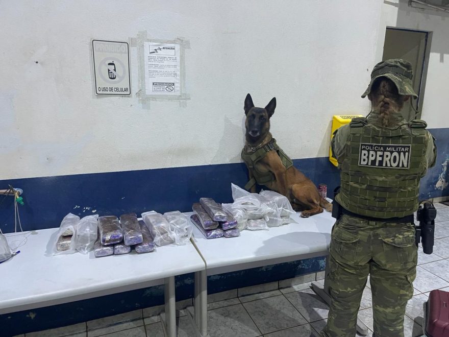 Operação Protetor: BPFRON apreende mais de 20 kg de maconha em Cascavel