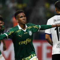 Imagem referente a Palmeiras vence em casa para assumir do Grupo F da Libertadores