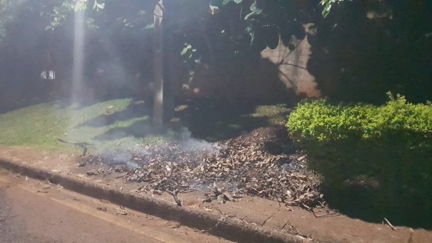 Incêndio em vegetação no Periolo é contido por moradores antes da chegada dos Bombeiros