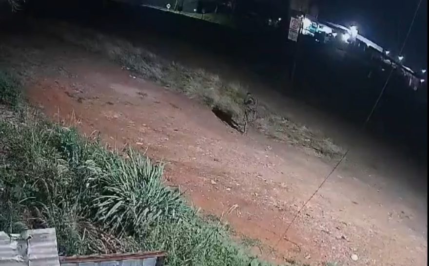 Vídeo mostra ladrão fugindo com cabos furtados em empresa de recicláveis às margens da BR-277