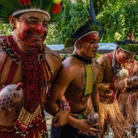 Imagem referente a Feira aberta ao público reúne indígenas de mais de 30 etnias no Rio