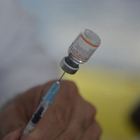 Imagem referente a Nova vacina contra a covid-19 chega à população em 15 dias
