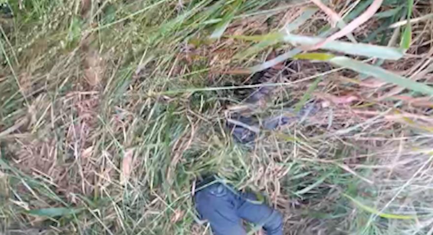 Vídeo mostra momento em que homem, vítima de agressão, é encontrado transtornado em mato