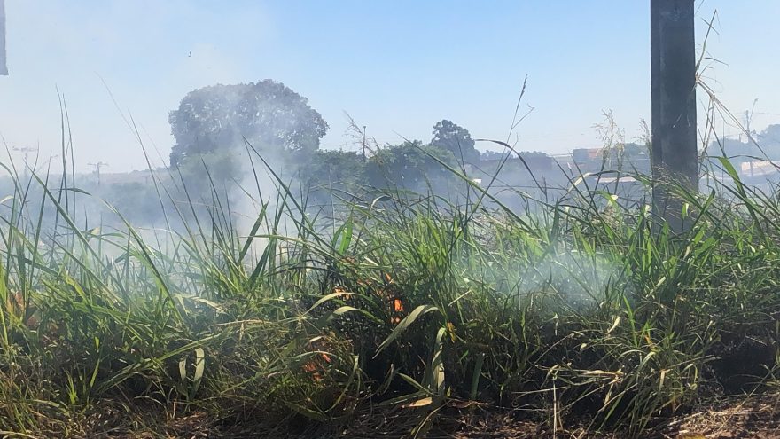 Incêndio é registrado às margens da BR-277 e fumaça é jogada para a rodovia BR-277
