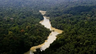 Brasil não trata meio ambiente com seriedade, diz promotor