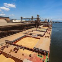 Imagem referente a China recebe 91,8% da soja exportada pelo Porto de Paranaguá