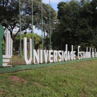 Imagem referente a 12,8 mil alunos de graduação da UEL devem renovar as matrículas para 2024