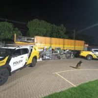 Imagem referente a Com apoio de cão, PM apreende 2 toneladas de maconha em caminhão em Iguaraçu