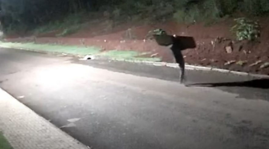 Câmera registra homem carregando televisor furtado após invadir residência em Medianeira