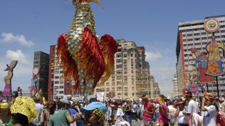 Dirigentes de blocos de carnaval debatem incentivo após reconhecimento