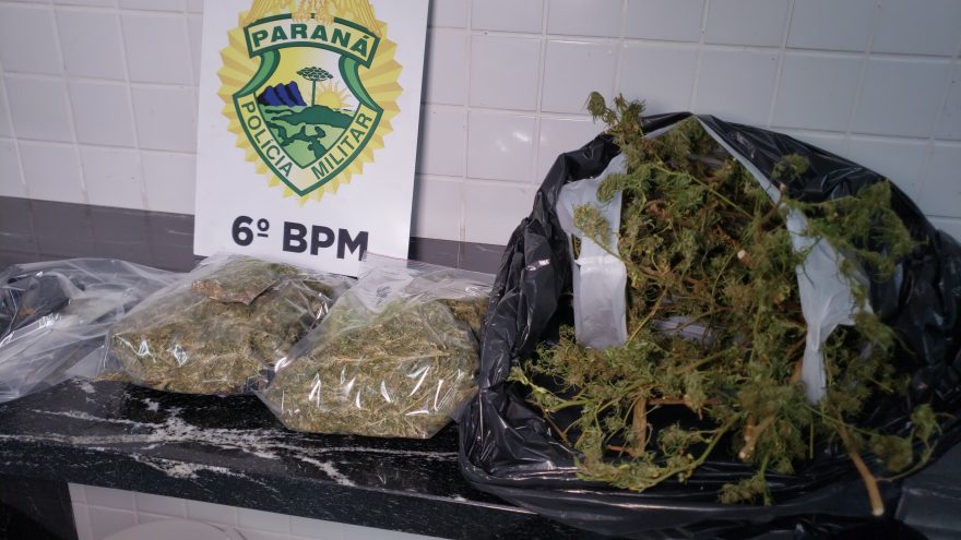 PM encontra varal de maconha após piloto fugir da abordagem de trânsito