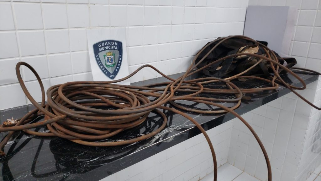 Dupla é detida suspeita de furto de fios no Lago Municipal Dupla é detida suspeita de furto de fios no Lago Municipal