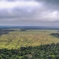 Imagem referente a Prorrogada adesão a programa de combate ao desmatamento na Amazônia
